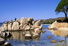 激动人心的欧洲足球盛事赛况大揭晓